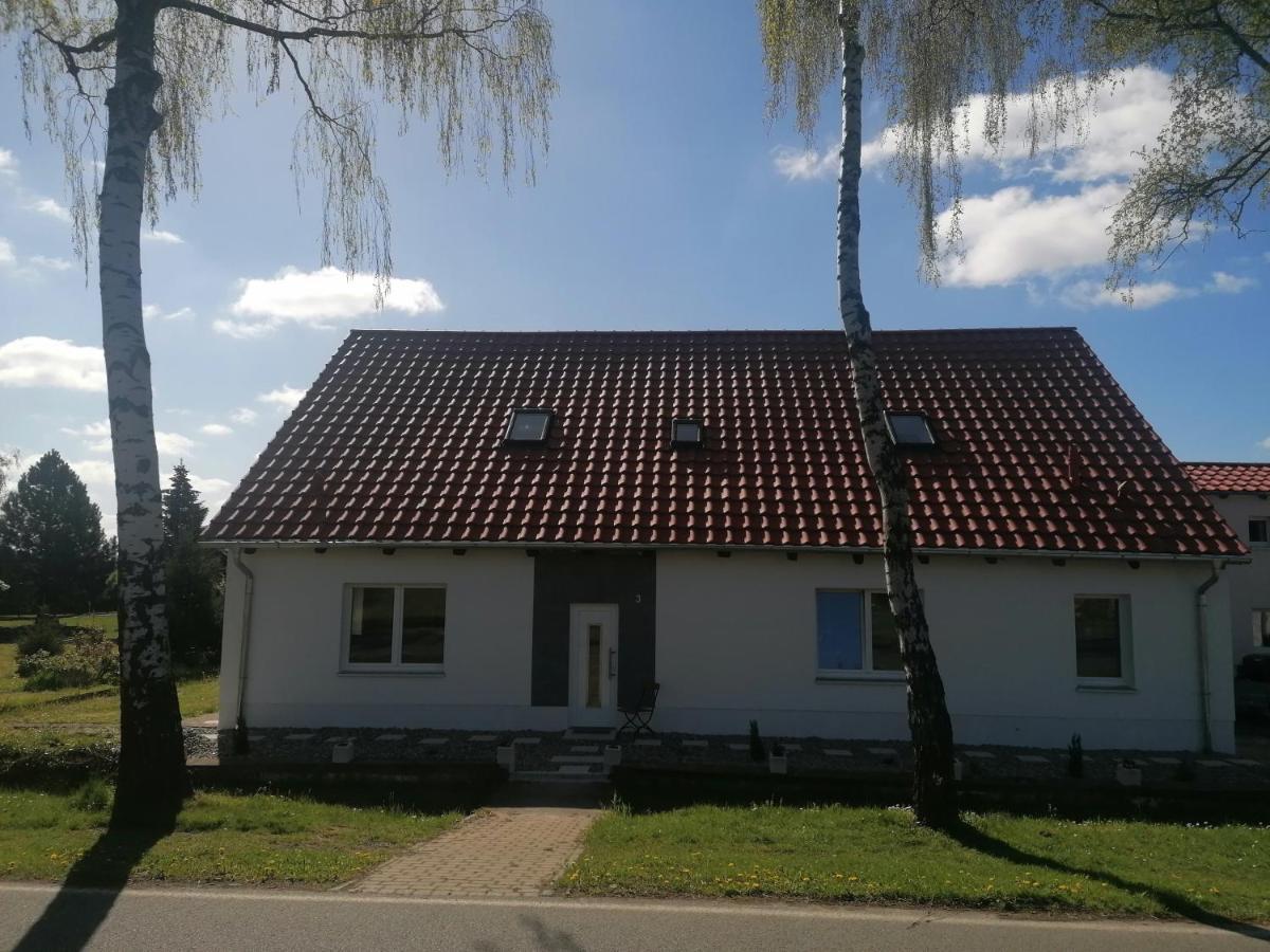 Ferienwohnung IV Sarrebriese Wanzleben-Borde Exterior foto