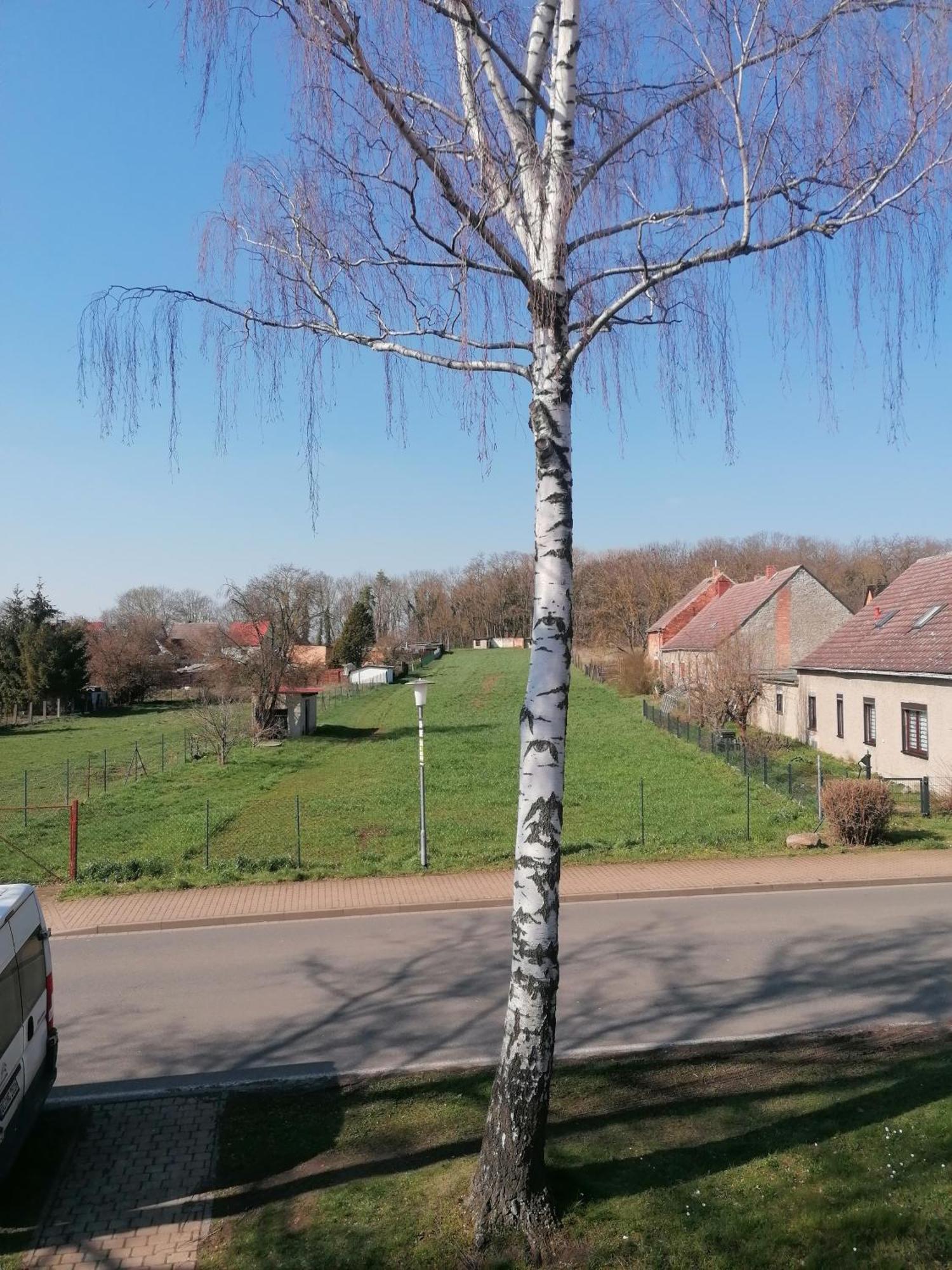 Ferienwohnung IV Sarrebriese Wanzleben-Borde Exterior foto